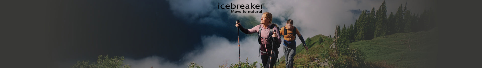 Icebreaker
