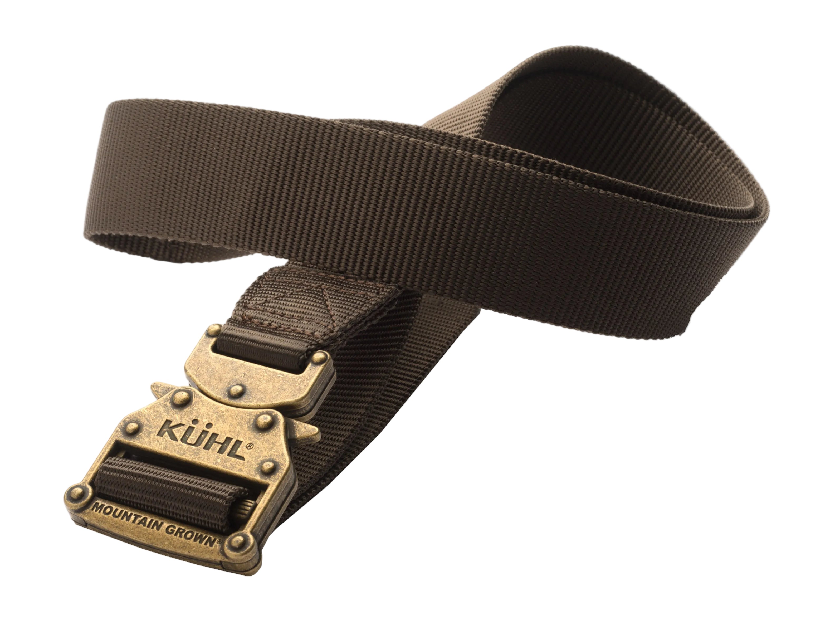 Brown belt with a gold buckle on a white background