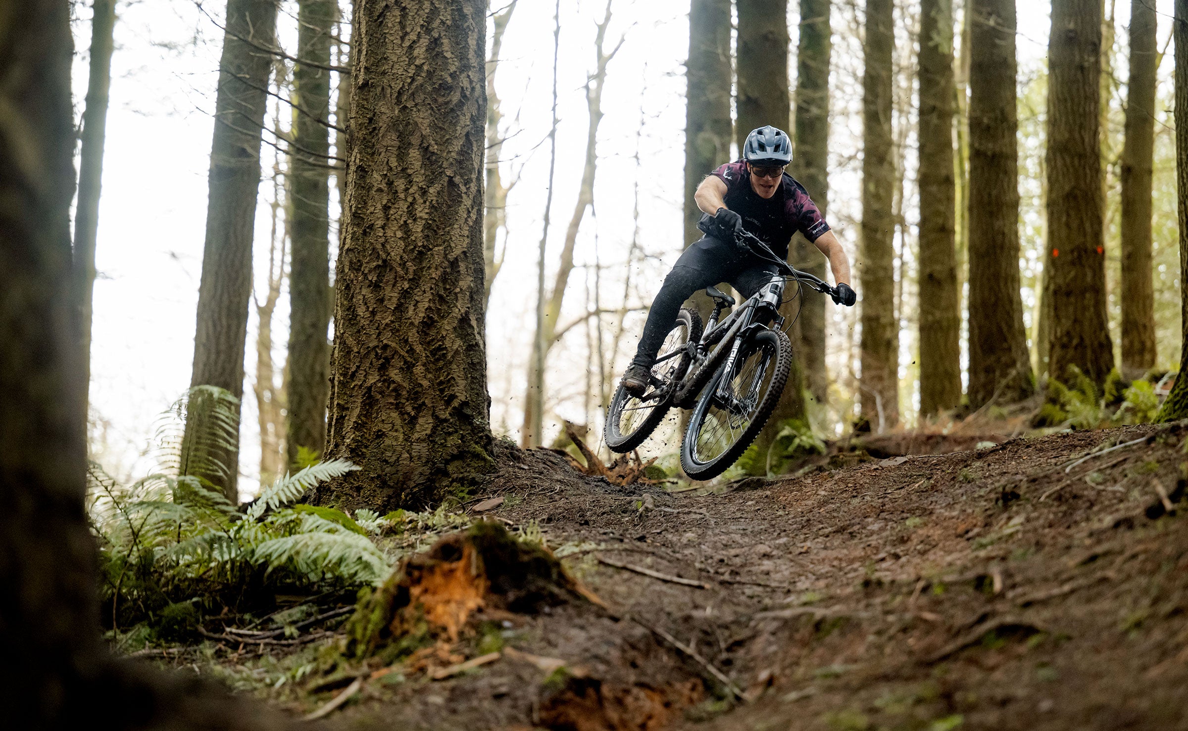 Syphon S 2027 Mountain Bike - Silver