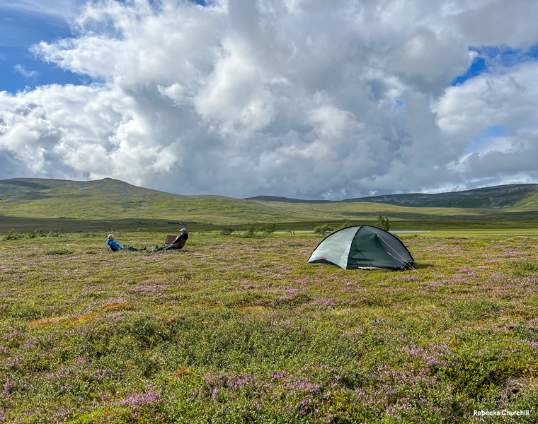Rogen 2-Person Tent - Green