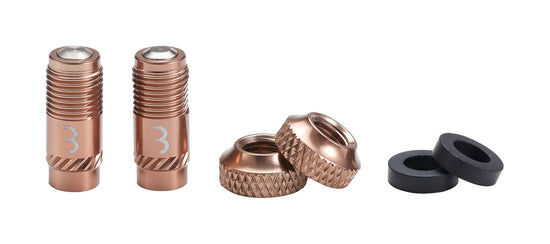 CoreCaps Valve Caps - 2 Pieces - Copper