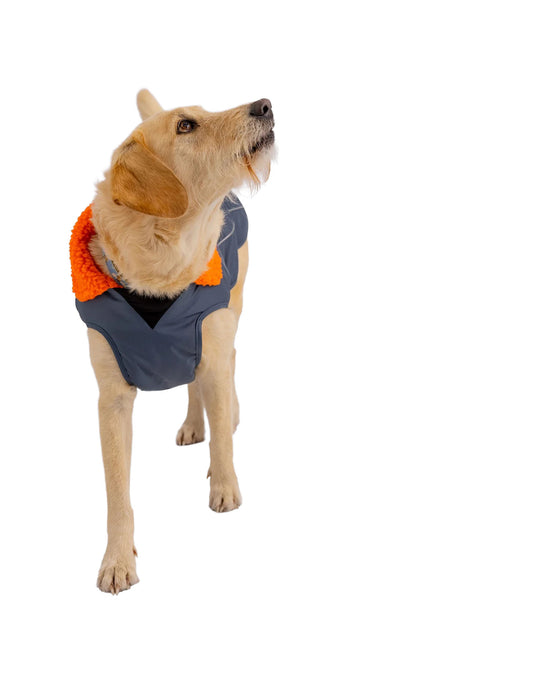 Dog Dryrobe Coat - Grey/Orange