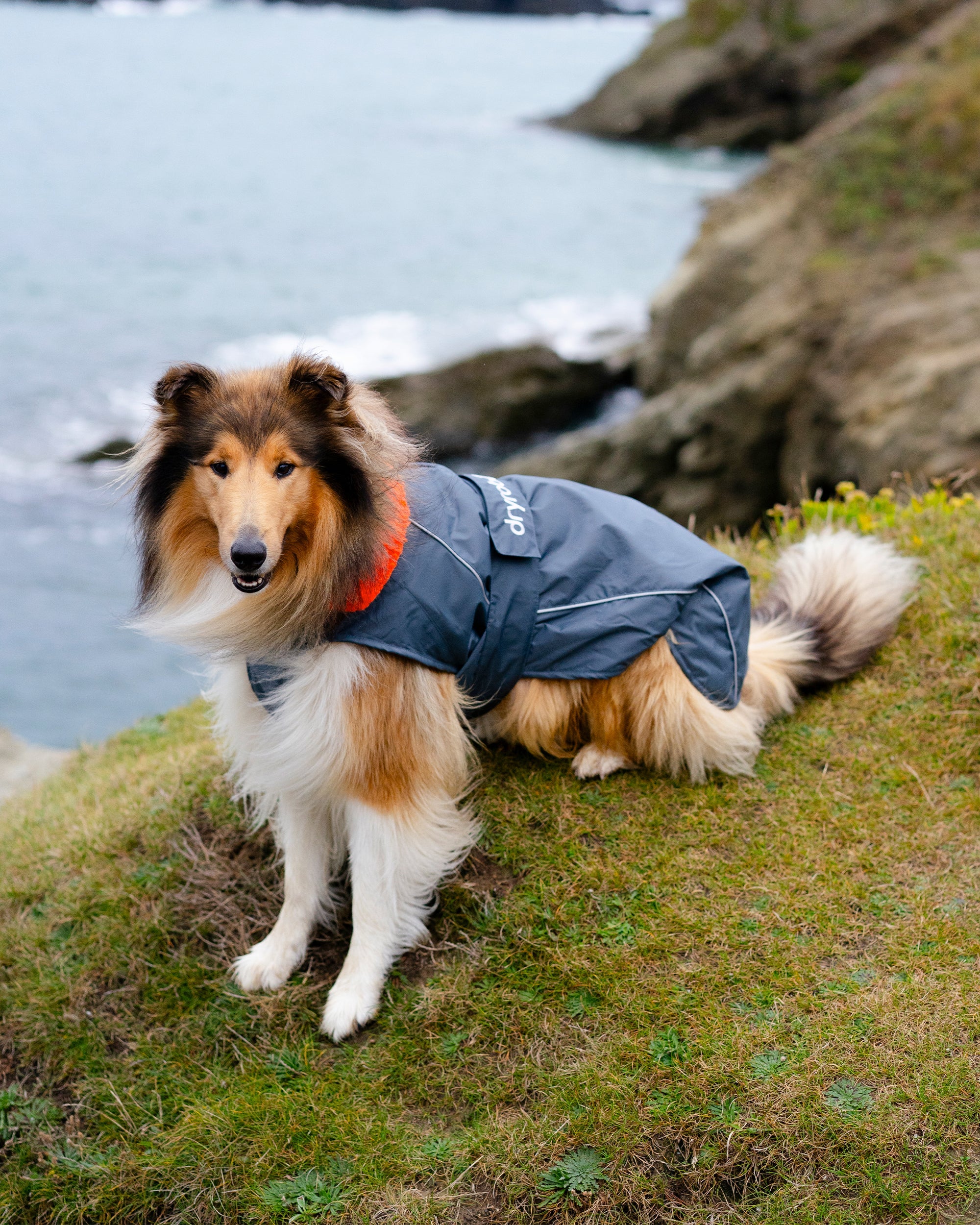 Dog Dryrobe Coat - Grey/Orange