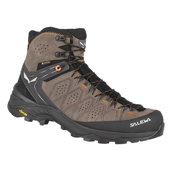 Men's Alp Trainer 2 Mid GORE-TEX Hiking Boots - Brown