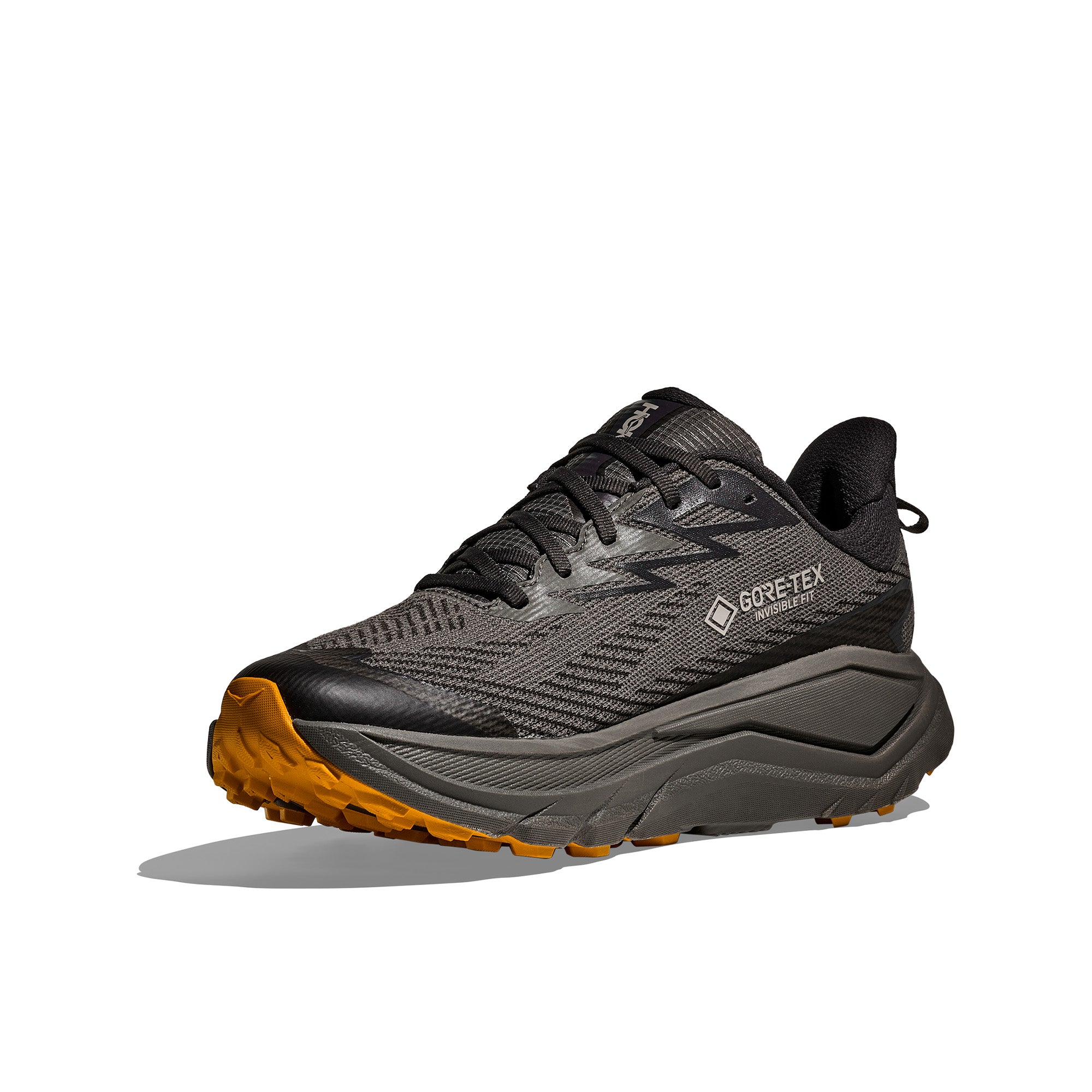 Men's Challenger 8 GORE-TEX Trail Running Shoes - Black