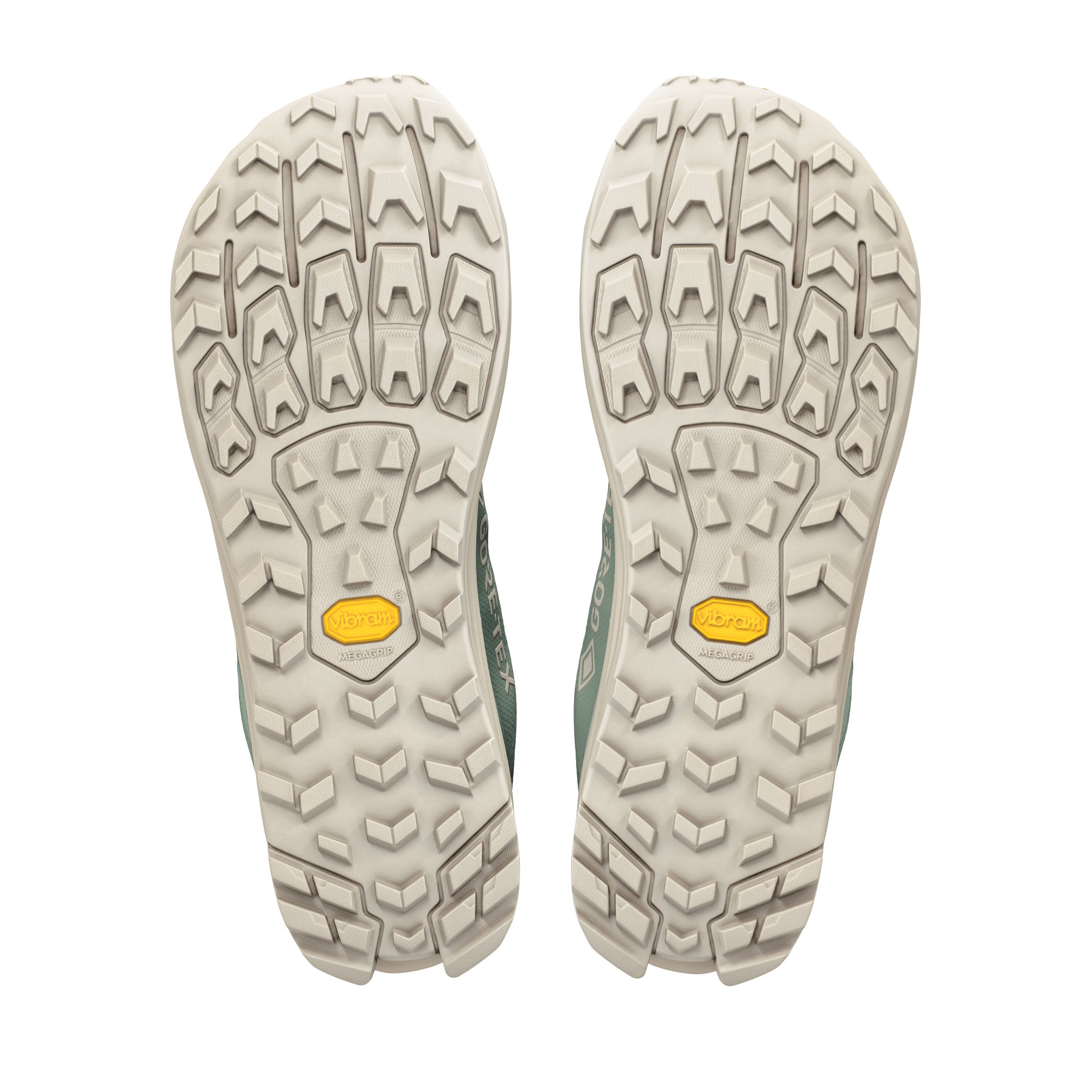 Men's Lone Peak 9+ GORE-TEX Shoes - Green