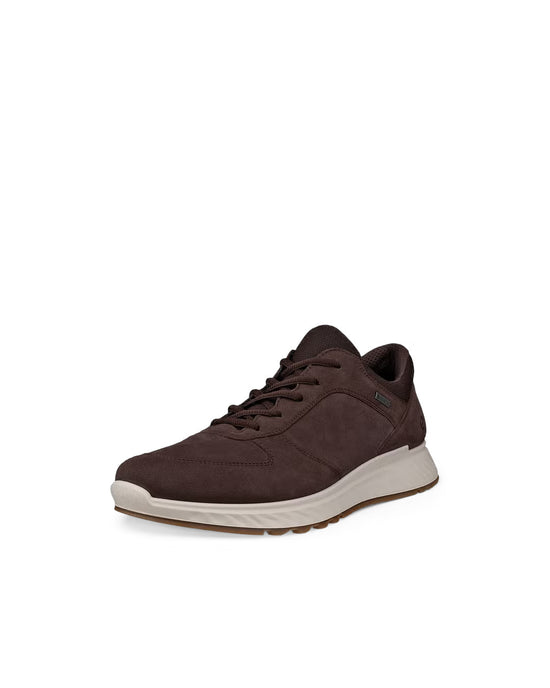 Men's Exostride GORE-TEX Shoes - Brown