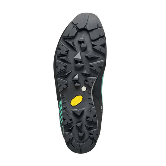 Women's Mont Blanc Pro GORE-TEX Mountaineering Boots - Green/Blue