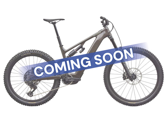 Levo 4 EVO Comp 2027 Mountain E-Bike - Dark Grey