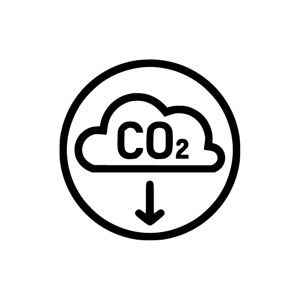Tiso