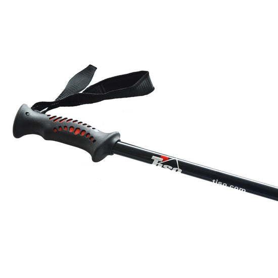 Walker Pole (single)