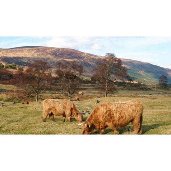 Explorer OL48 Ben Lawers & Glen Lyon Map