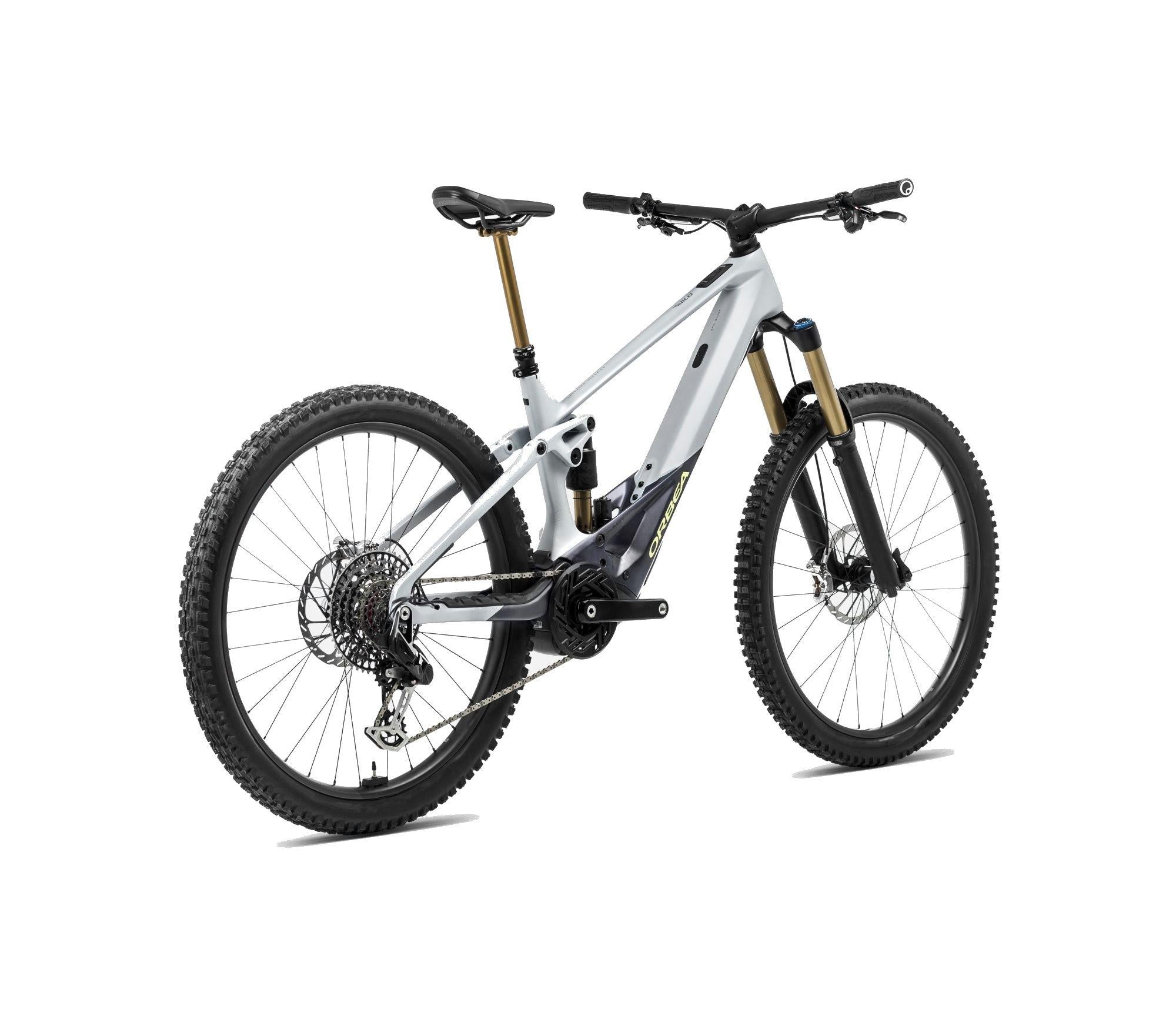 Wild M-Team Mountain E-Bike - Silver