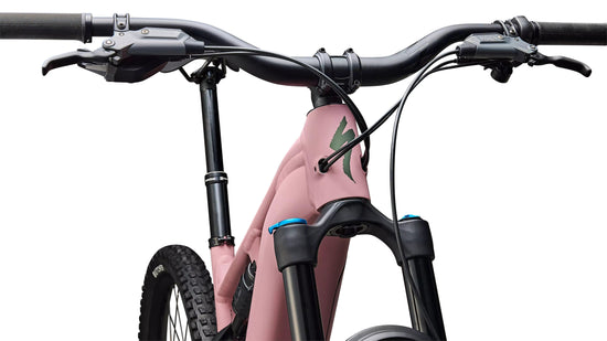 Turbo Levo 4 Comp Alloy Mountain E-Bike - Pink