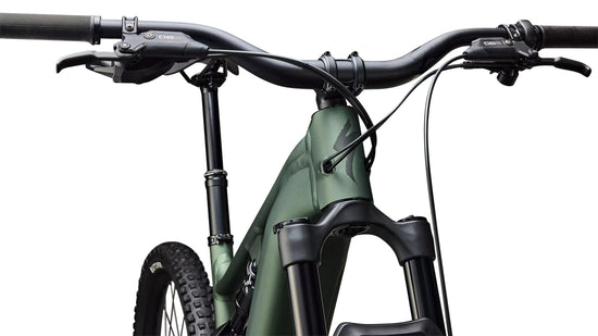 Turbo Levo 4 Alloy Mountain E-Bike - Green