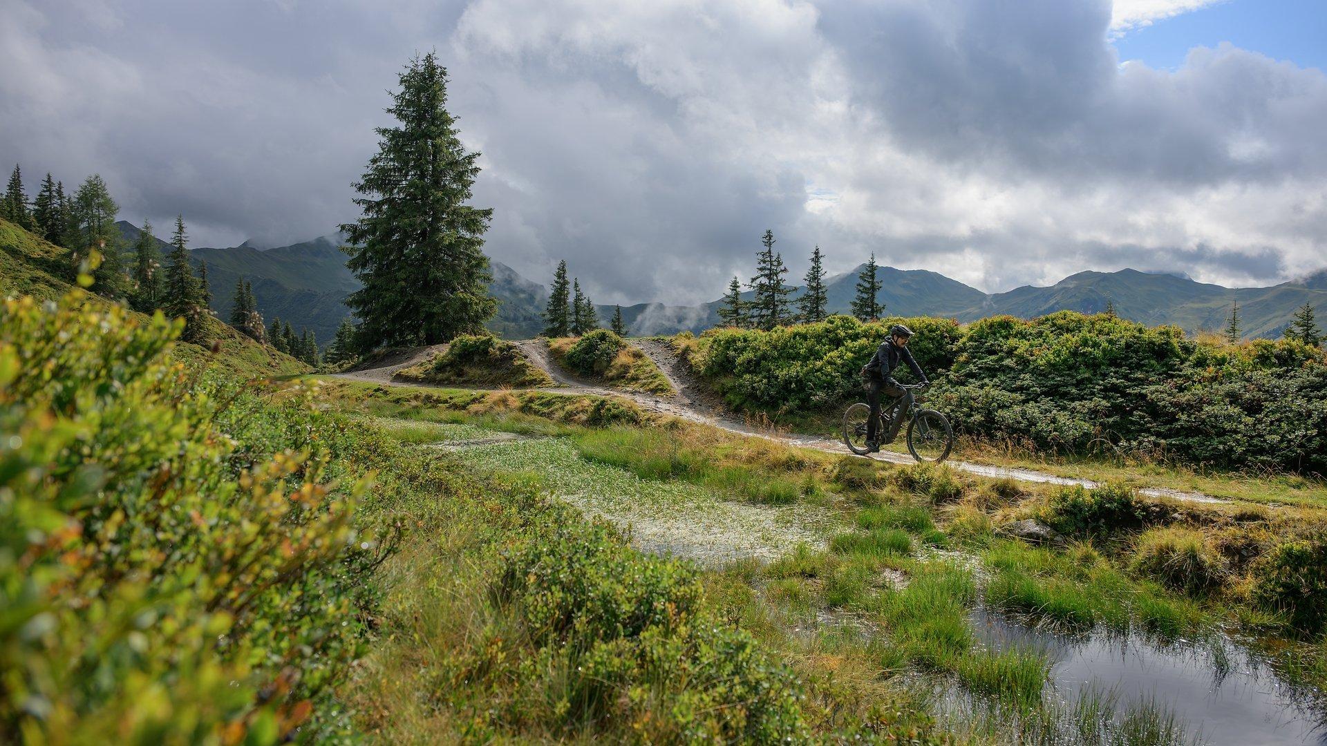 Stereo Hybrid ONE44 PRO 800 Mountain E-Bike - Grey