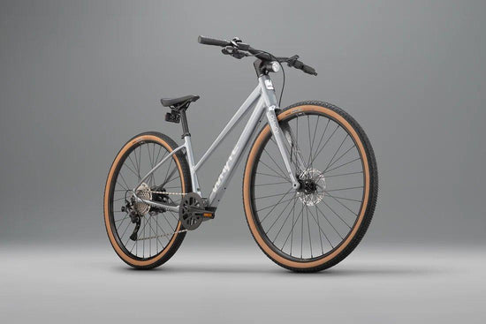 RHeO 2 ST E-Bike - Gloss Silver