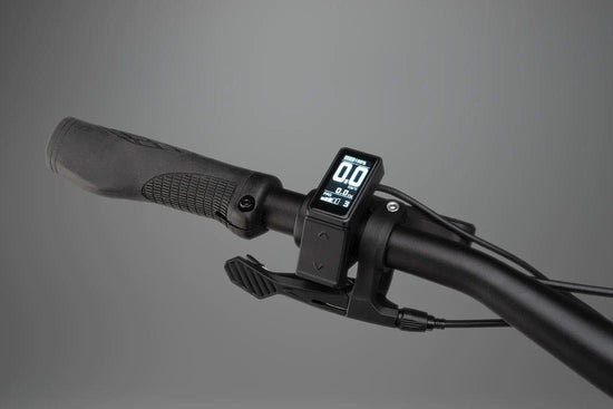 RHeO 3 ST E-Bike - Sage Green