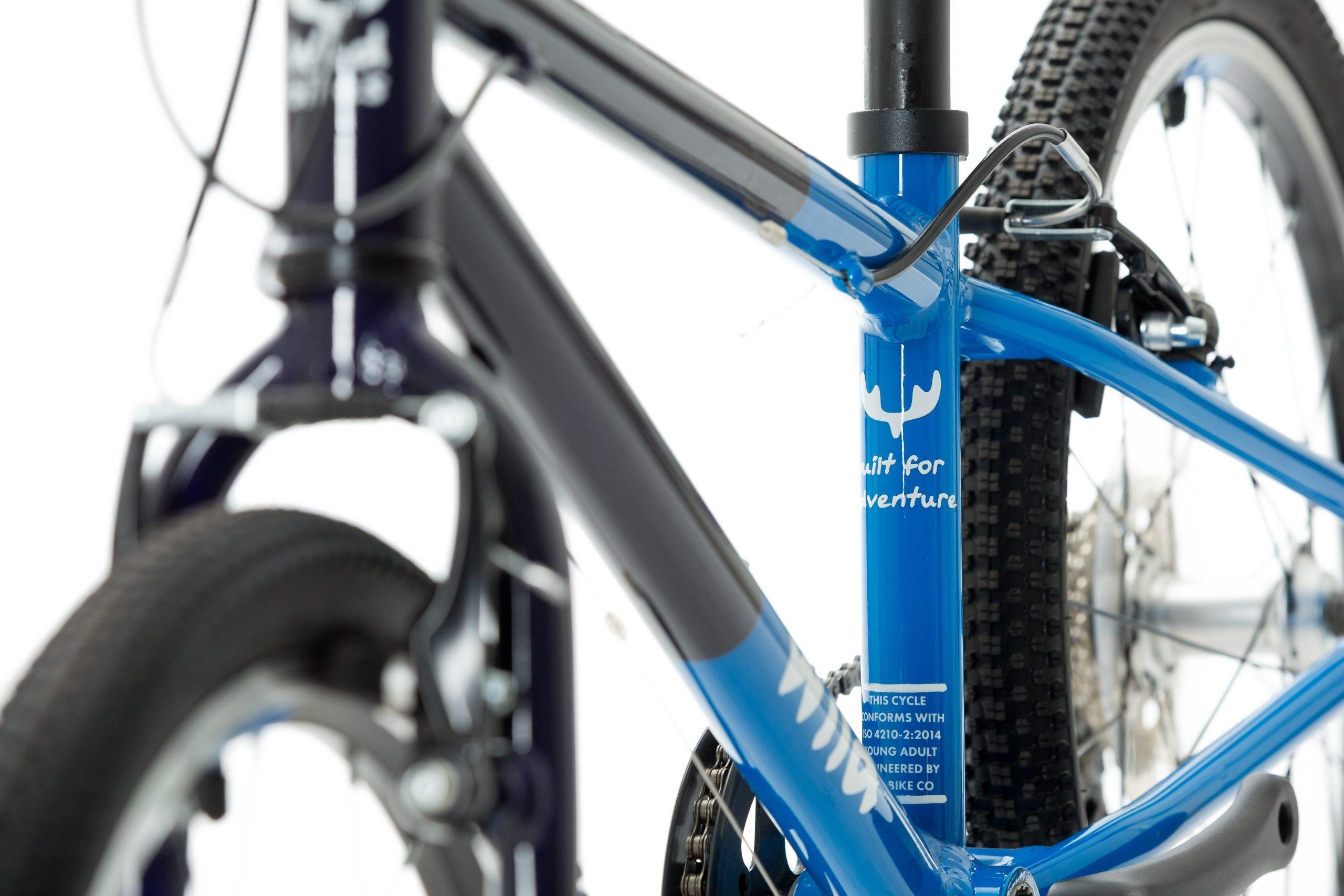 Wild 20 Kids' Bike - Blue