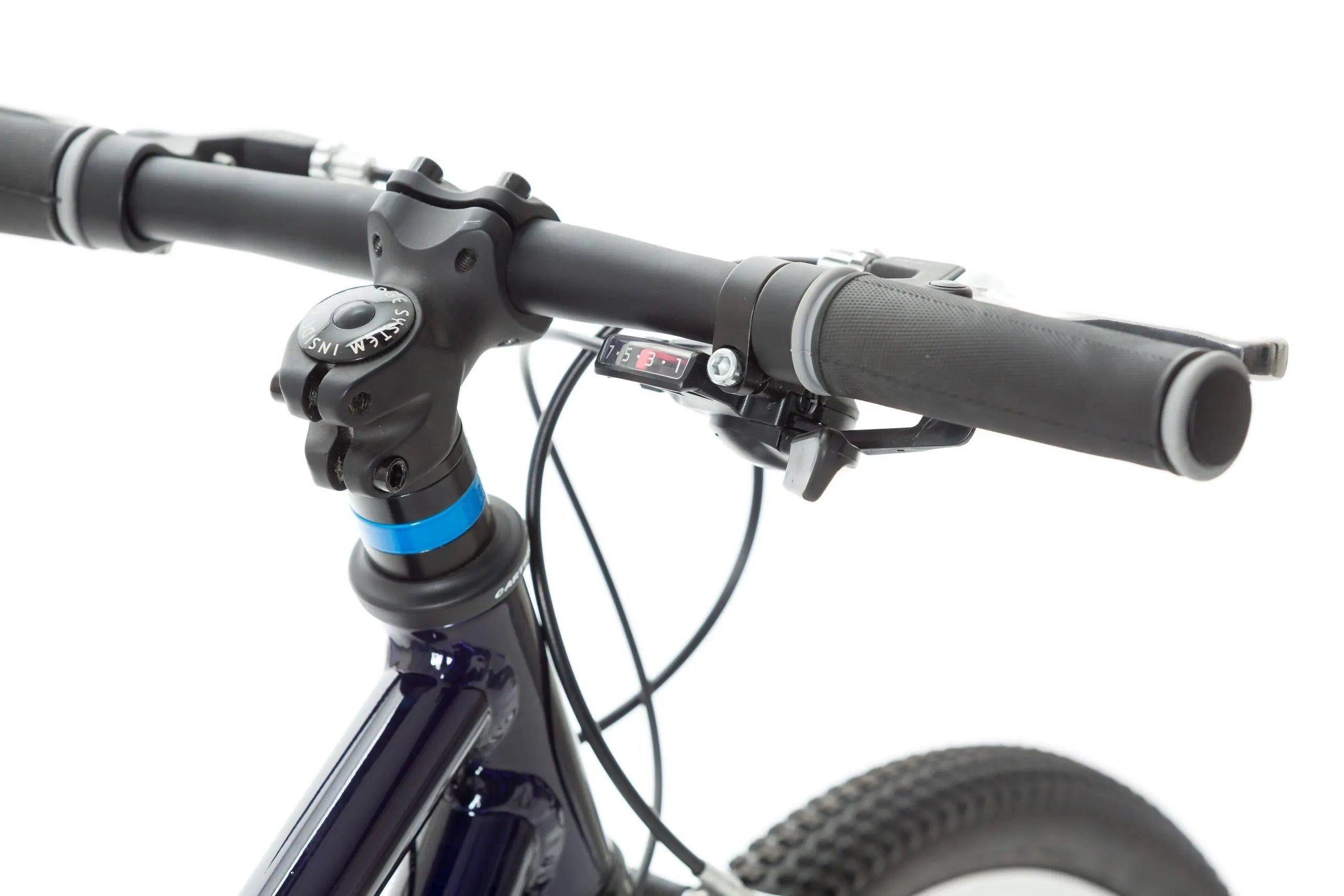 Wild 20 Kids' Bike - Blue