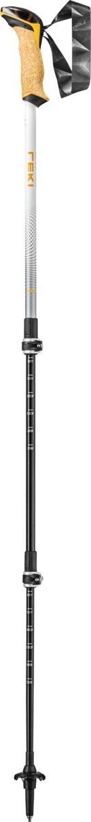 Cressida Walking Poles - Silver