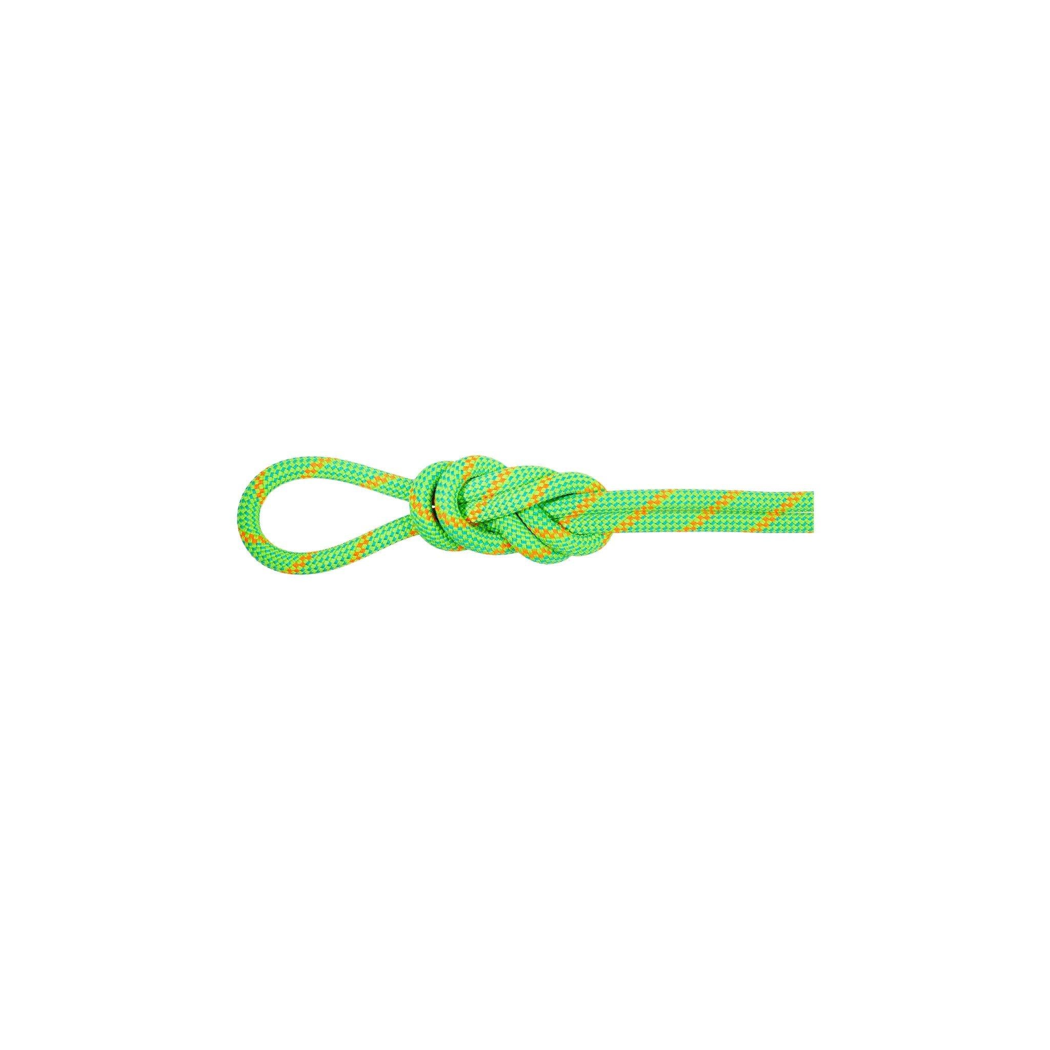 8.0 Alpine Dry 60M Climbing and Mountaineering Rope - Green