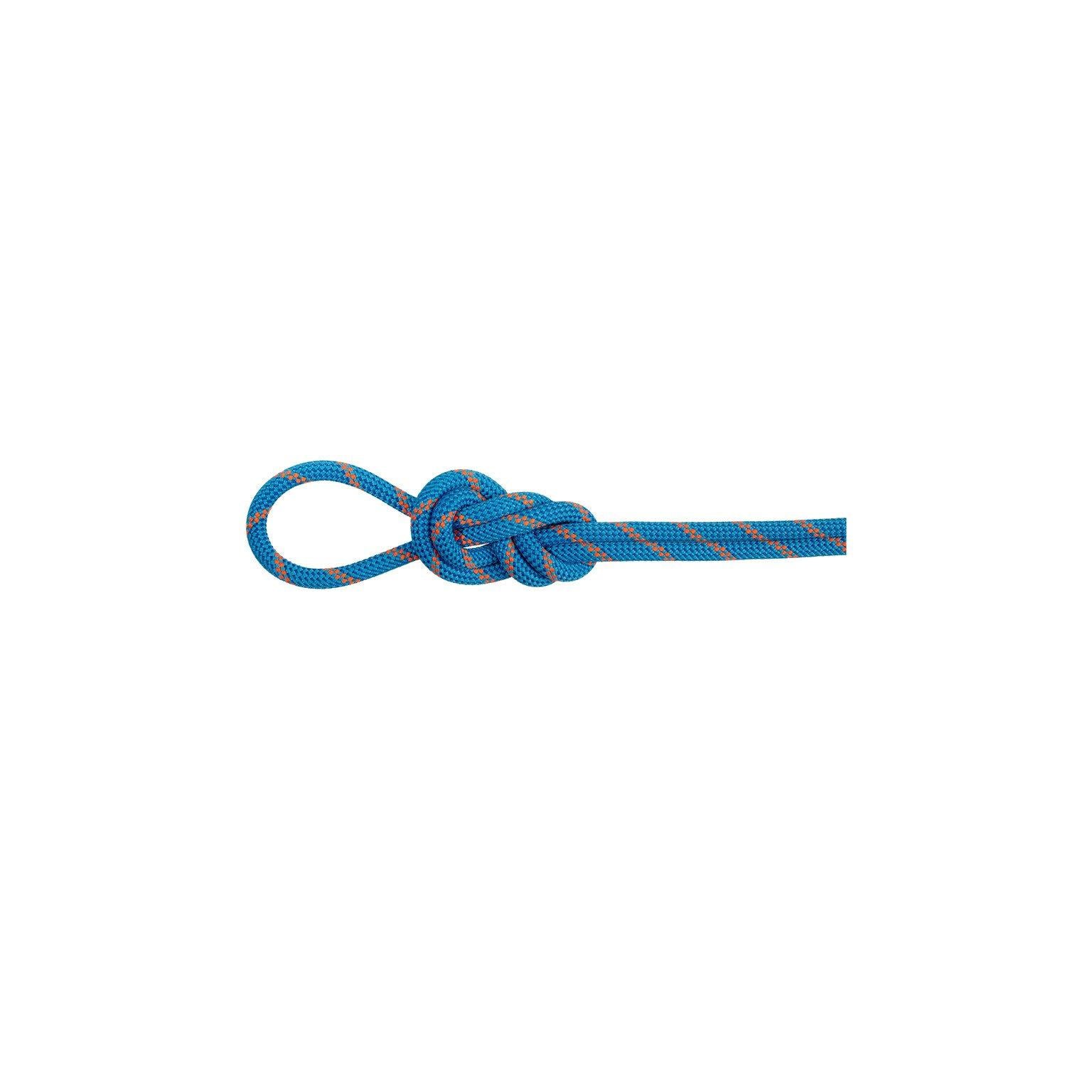 8.0 Alpine Dry 60M Climbing and Mountaineering Rope - Blue