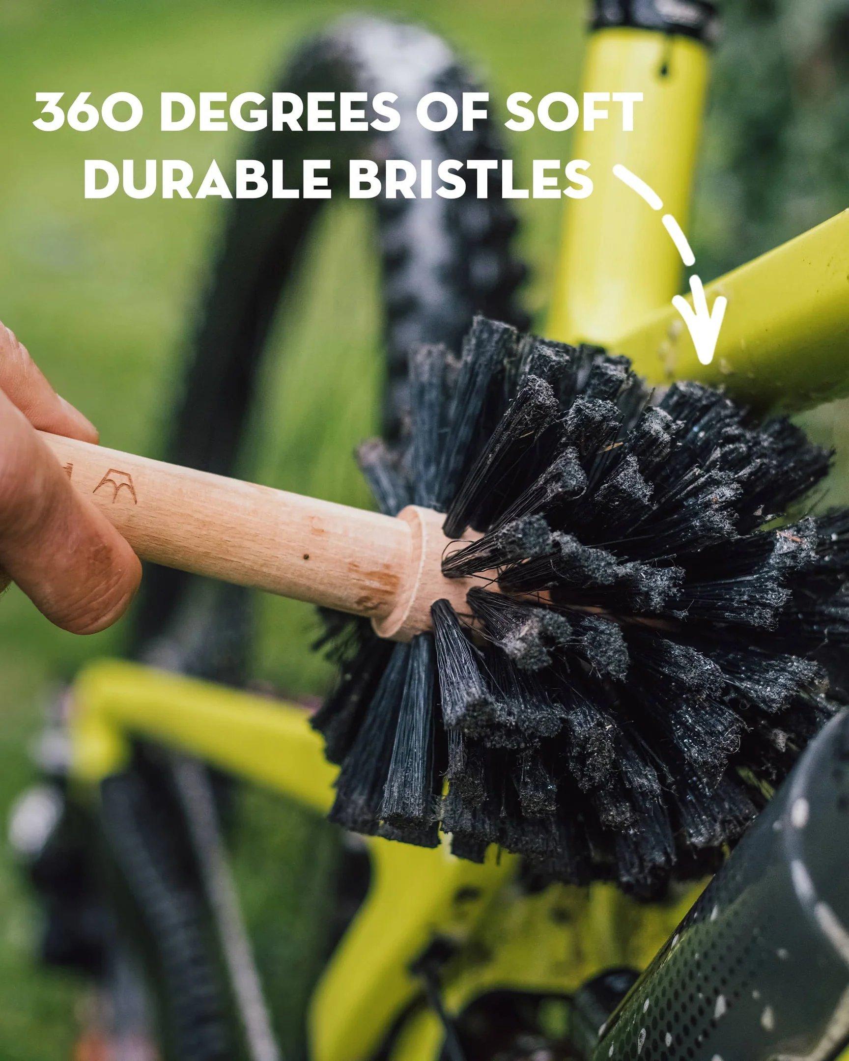 Bog Brush