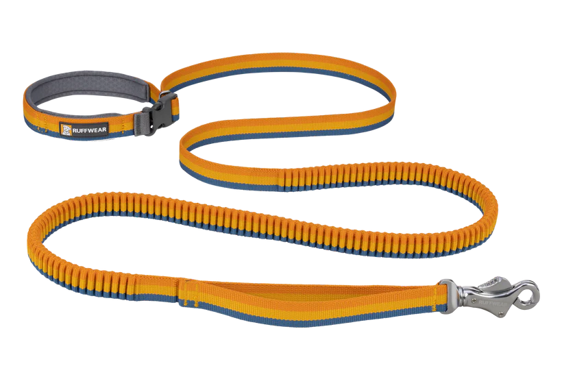 Roamer Bungee Dog Lead - Yellow