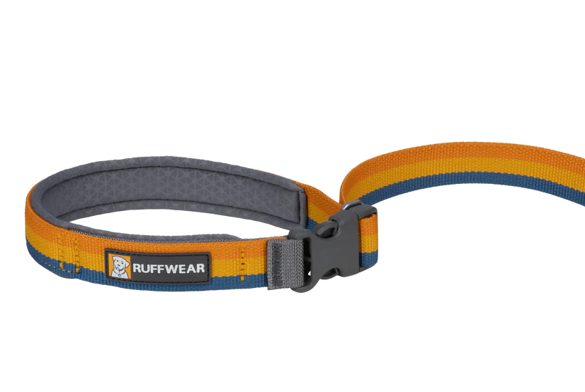 Roamer Bungee Dog Lead - Yellow