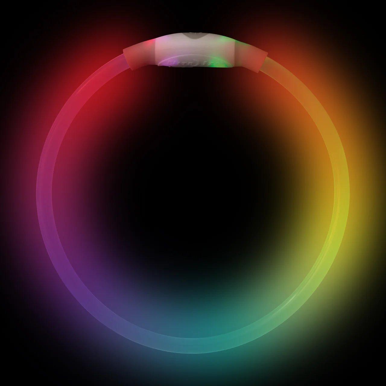 Rechargeable Led Safety Collar - Disco