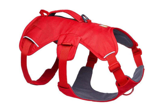 Web Master Harness - Red