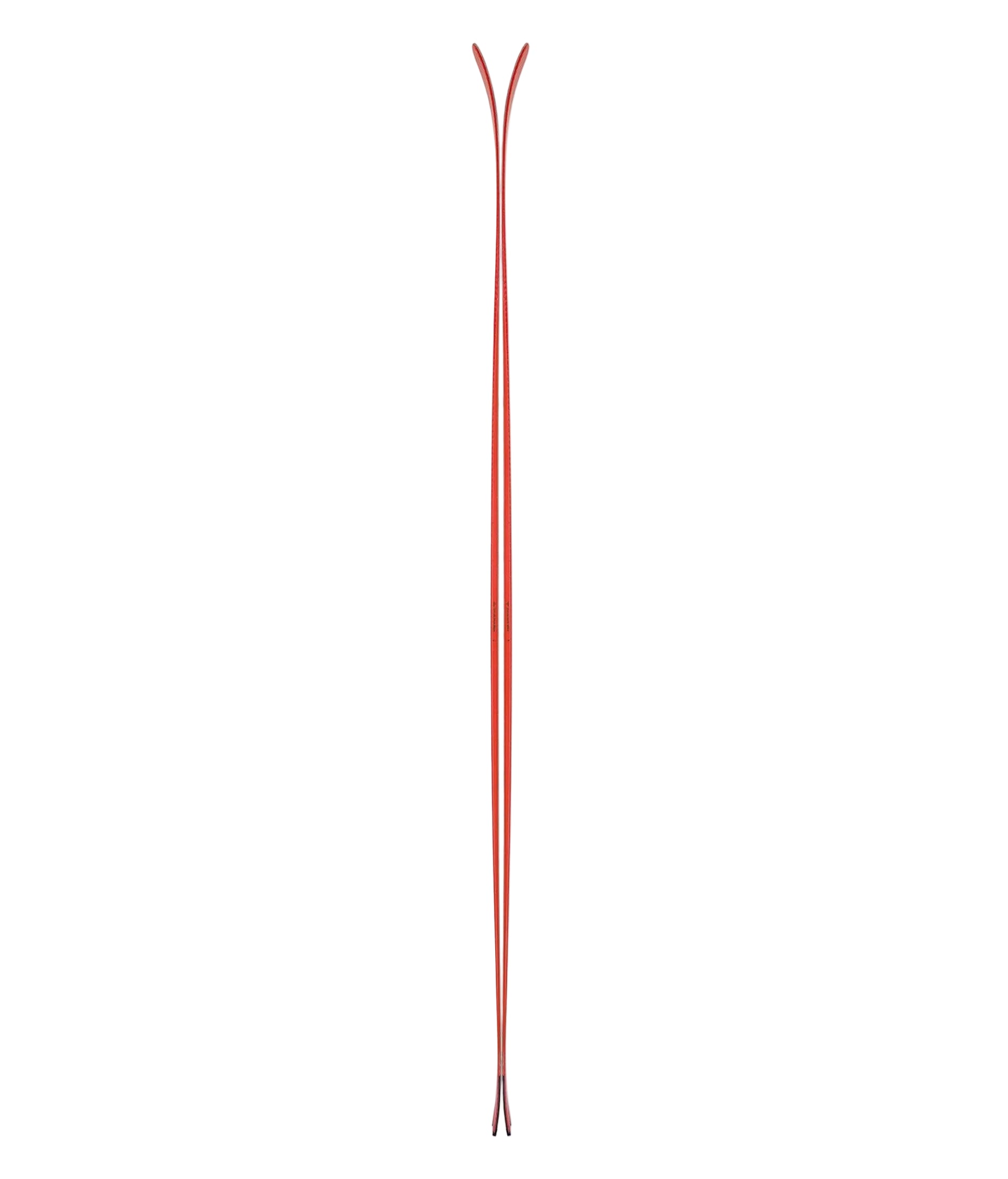 Camox Freebird Skis 2023 - Red