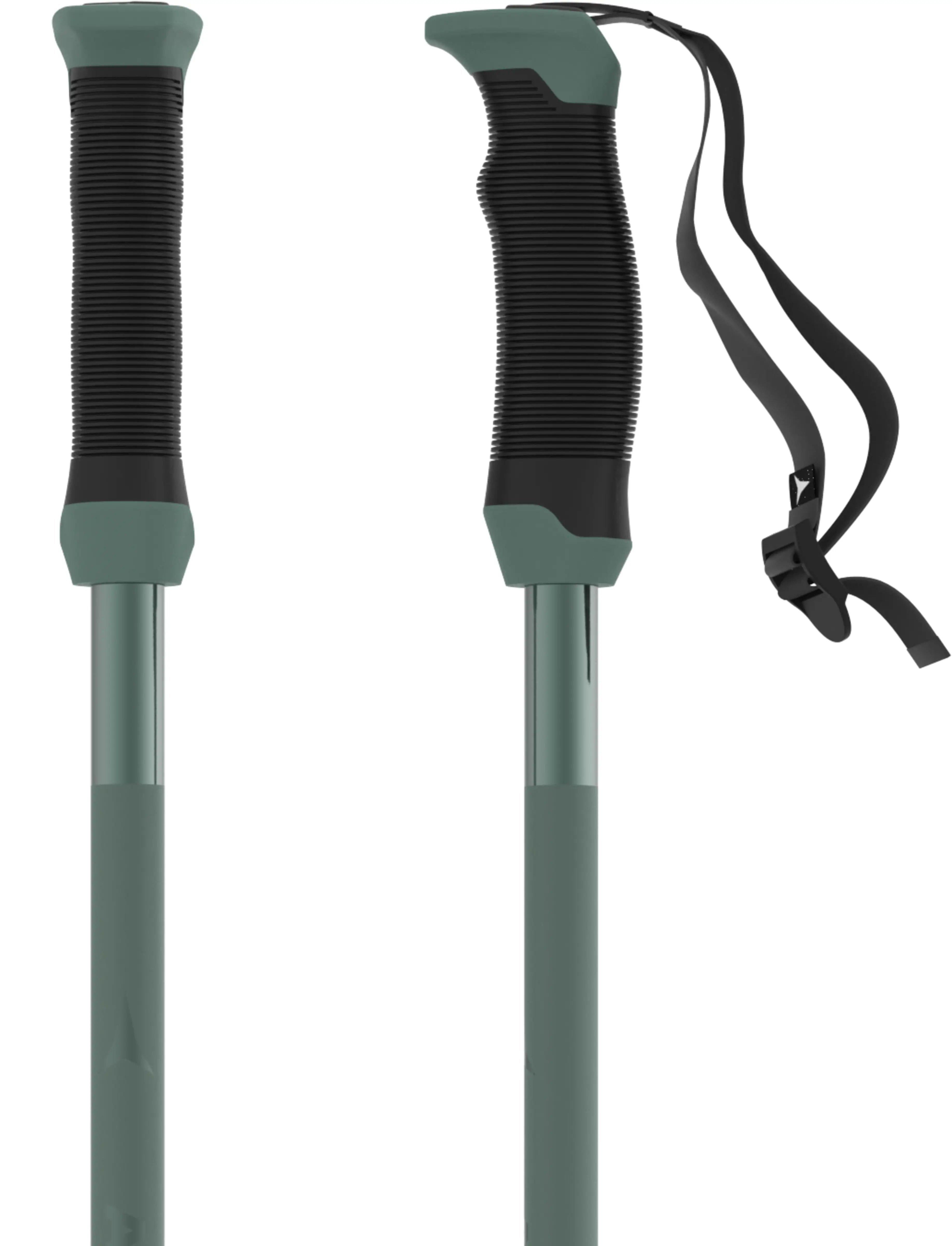 AMT SQS Ski Pole - Green