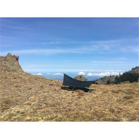 Tarp 5 - Green