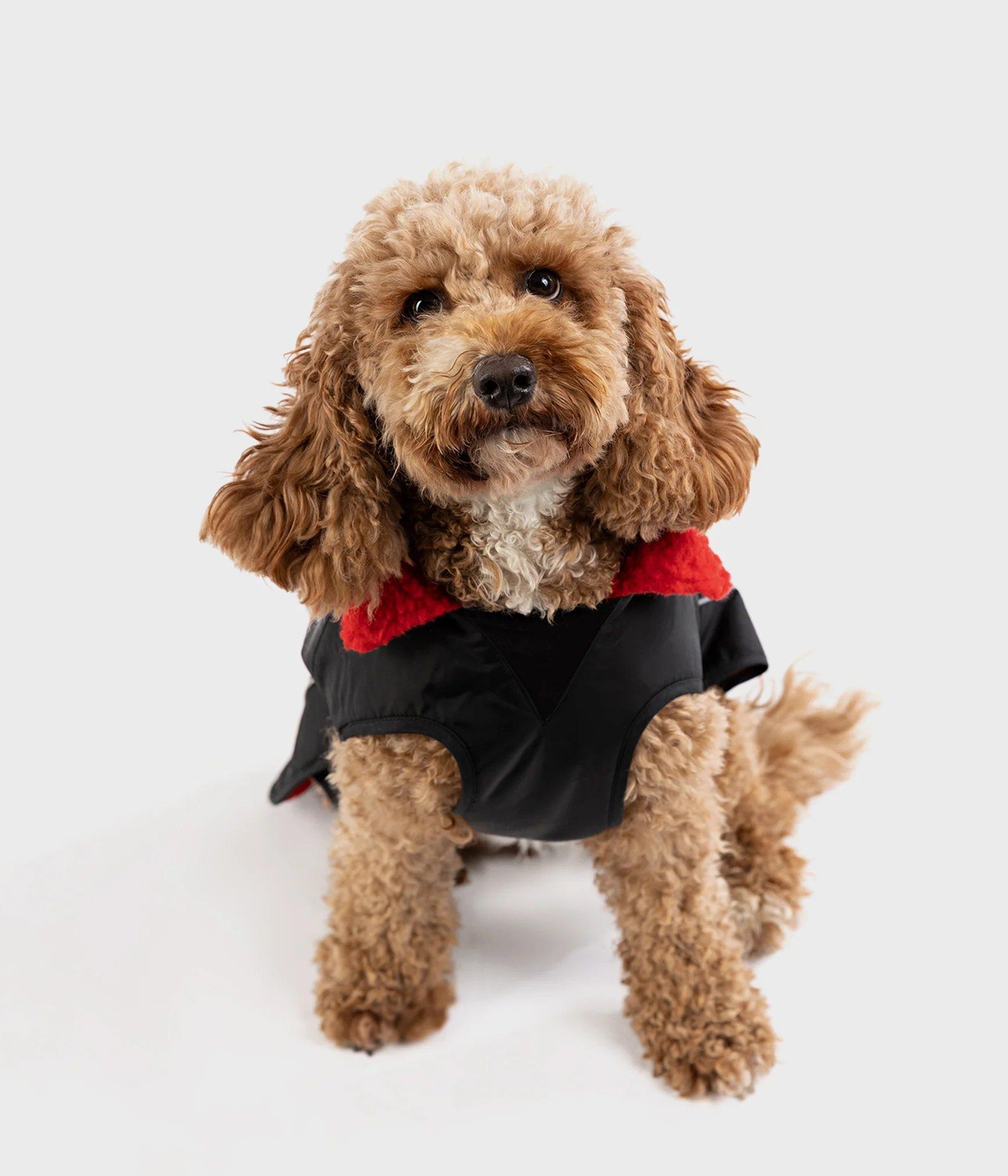 Dryrobe Dog - Red