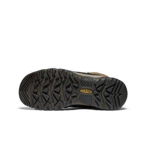 Men's Targhee IV Waterproof Hiking Boots- Brown