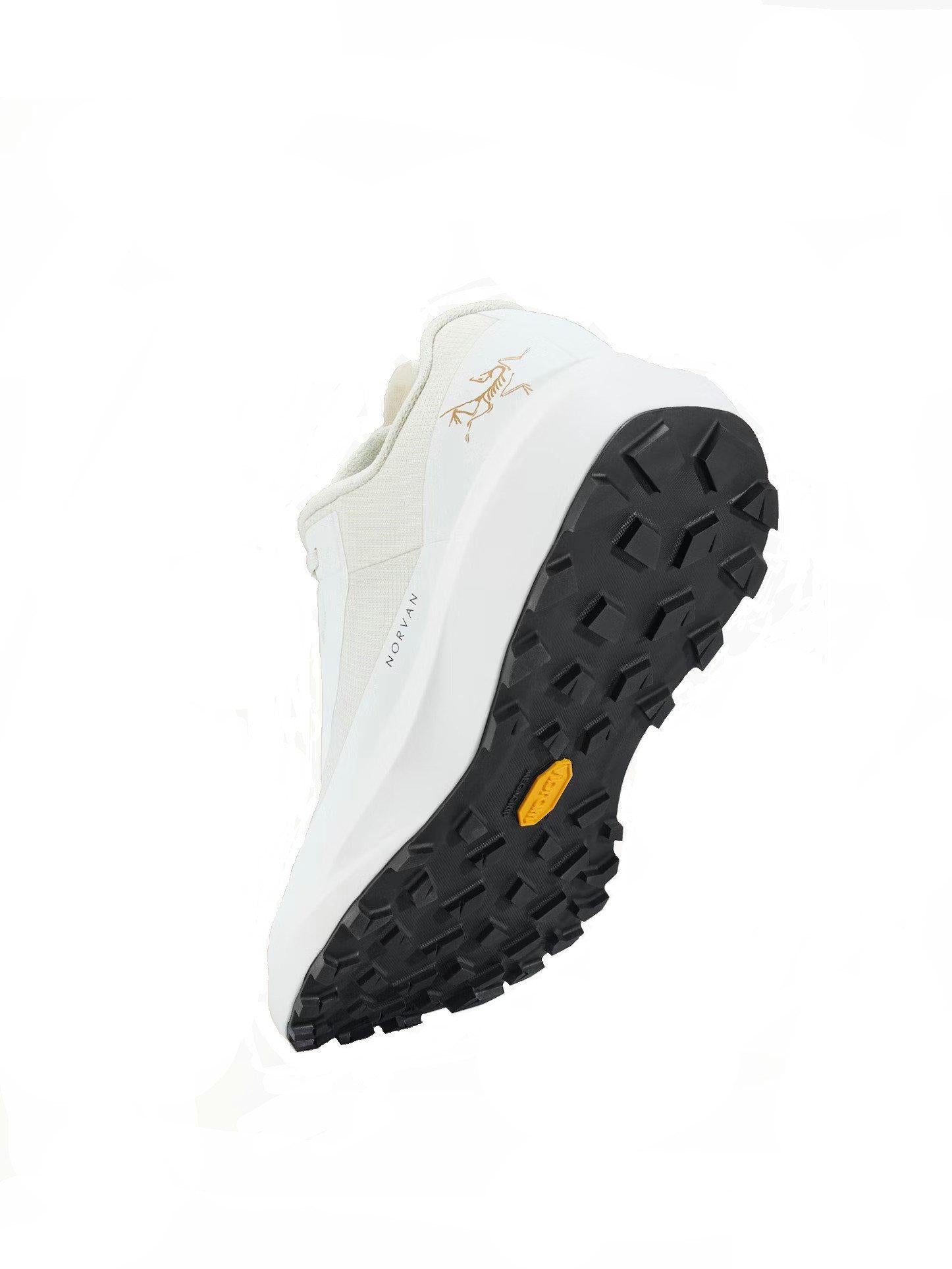 Women's Norvan Long Distance 4 GORE-TEX Trail Running Shoes - Arctic Silk