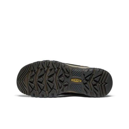 Men's Targhee IV Waterproof Hiking Shoe - Brown