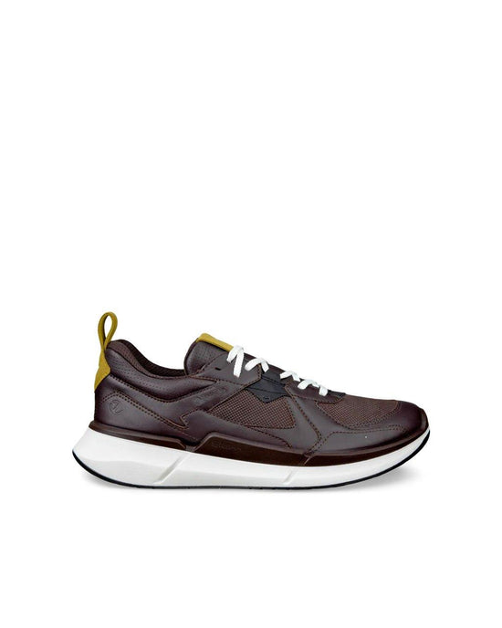 Men's Biom 2.2 GORE-TEX Shoes - Brown