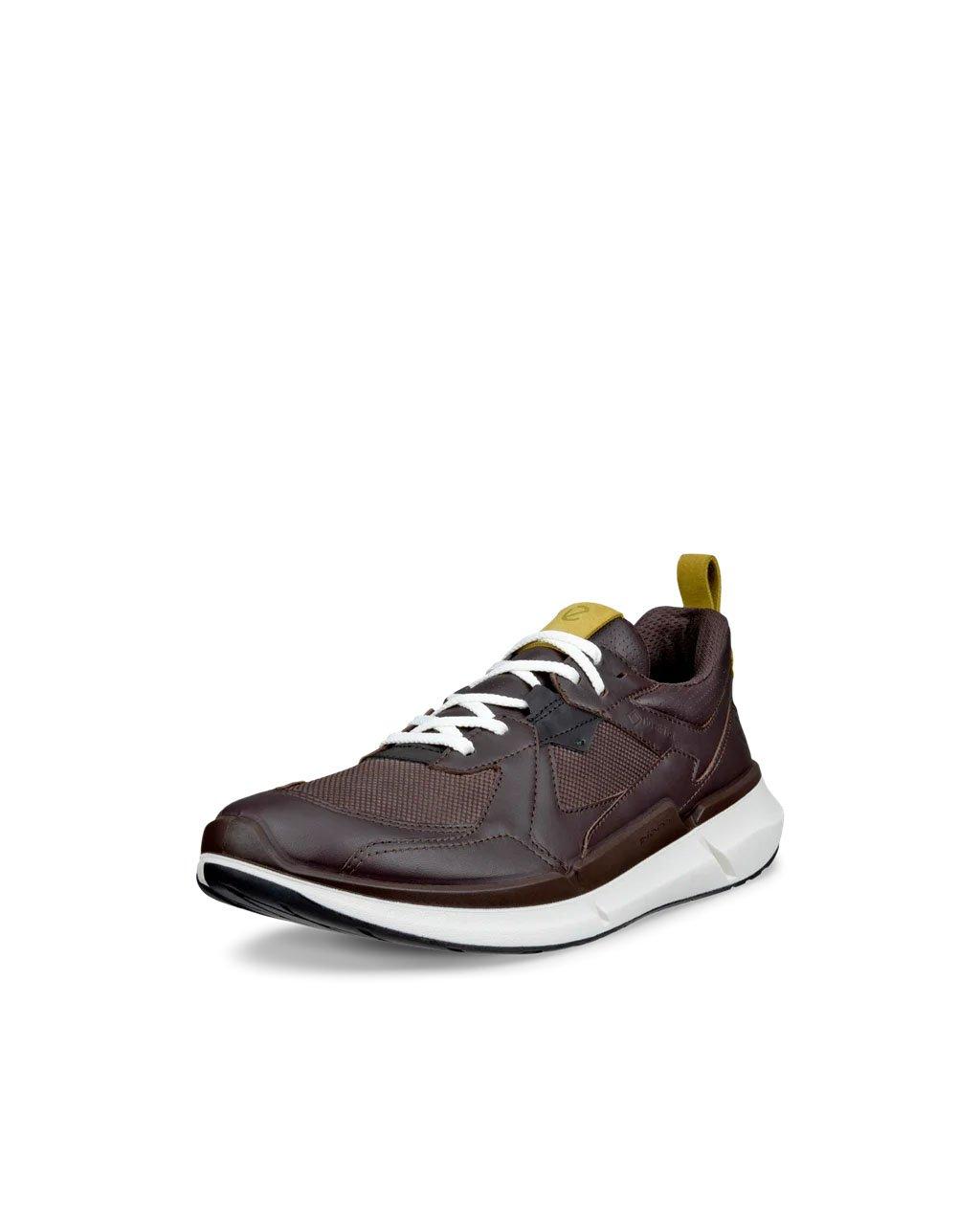 Men's Biom 2.2 GORE-TEX Shoes - Brown