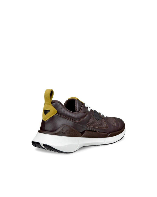 Men's Biom 2.2 GORE-TEX Shoes - Brown