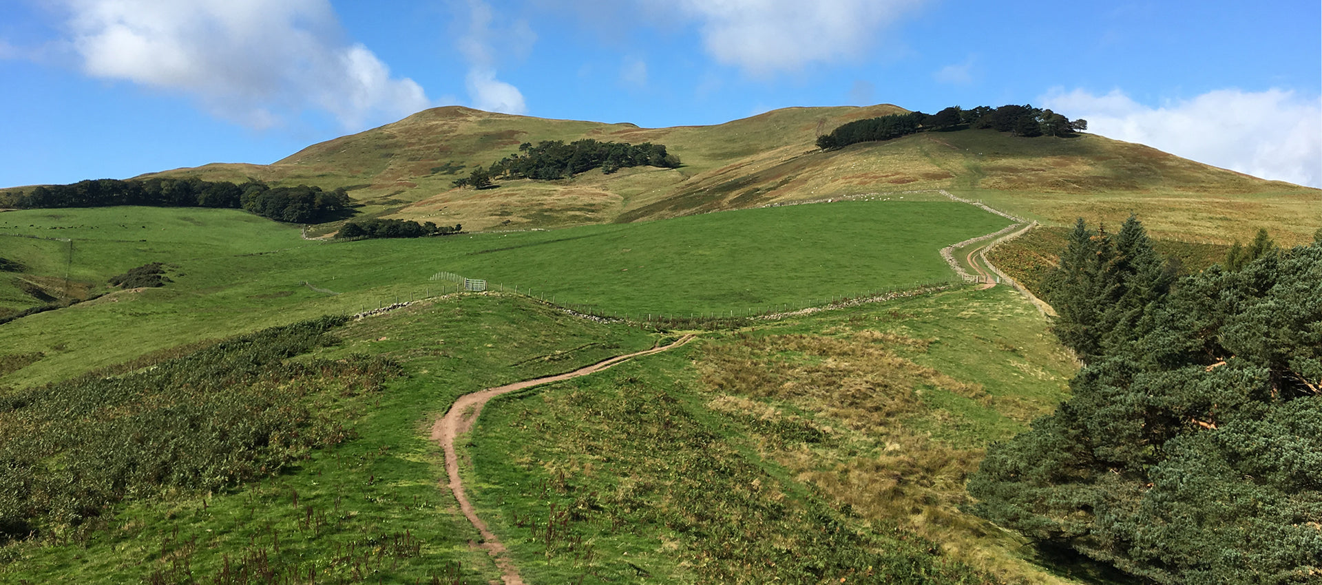 Top 5 Walks in the Pentland Hills - Tiso Routes