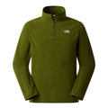 Men's Glacier 1/4 Zip Fleece - Green