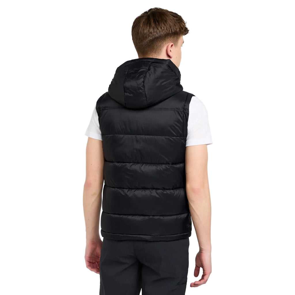 Person wearing a black puffer vest on a white background