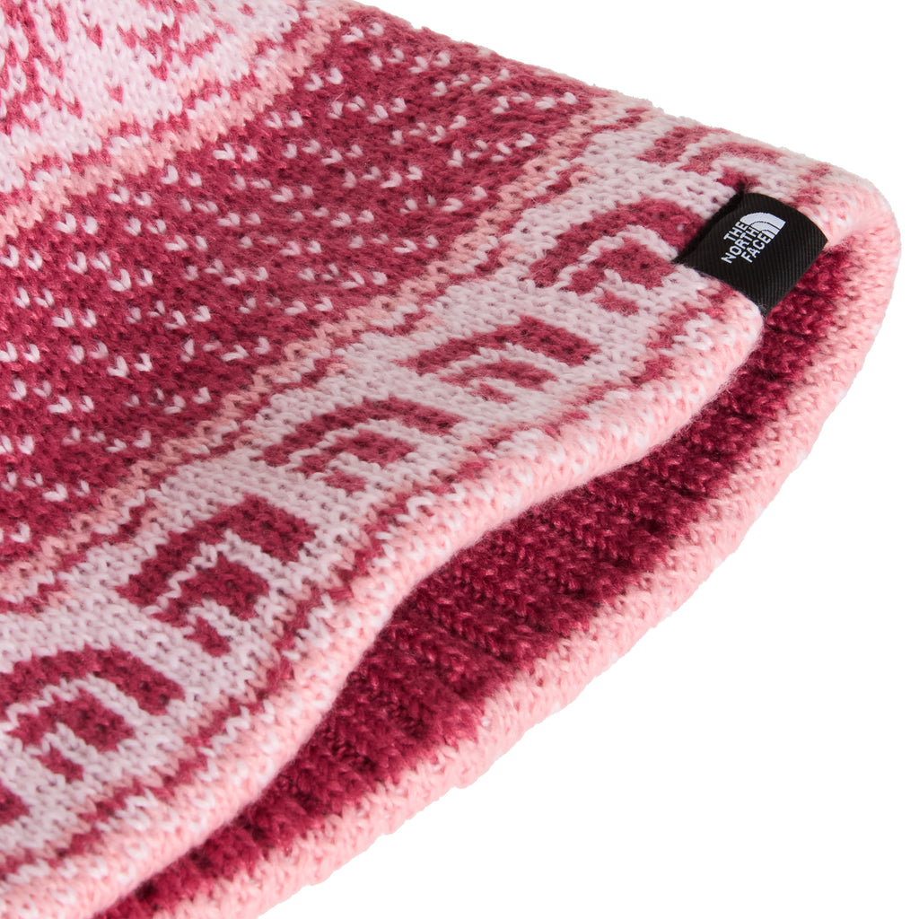 Kids' Cabin Ski Tuke Beanie - Pink