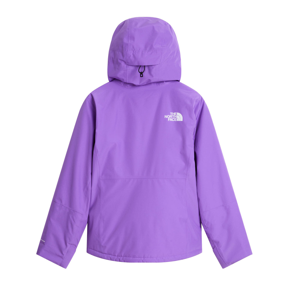 Women's Descendit Ski Jacket - Purple