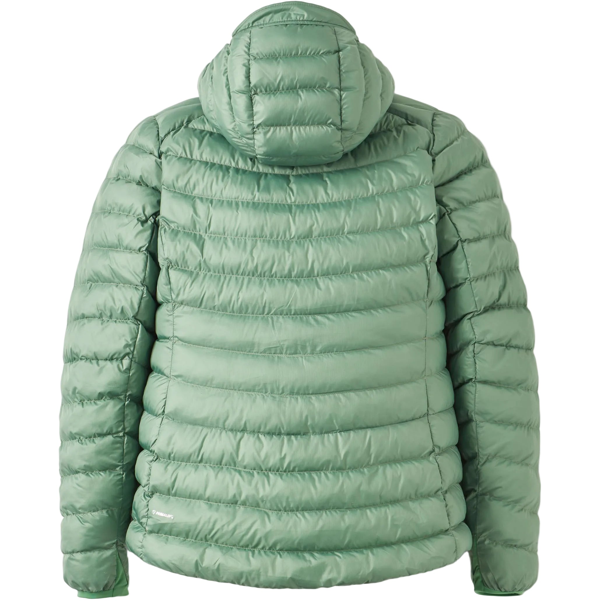 Women's Cirrus Alpine Jacket - Green
