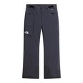 Men's Freedom Insulated Pant - Regular - Grey