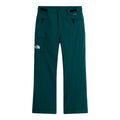 Men's Freedom Insulated Pant - Regular - Green